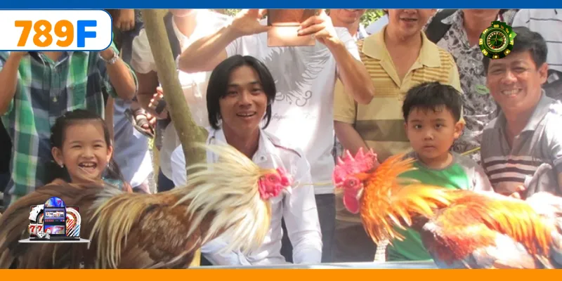 Đá Gà C3 – Quy Tụ Những Chiến Kê Cực Hay, Kèo Cược Đa Dạng 4 Cửa cược đa dạng mang lại phần thưởng lớn