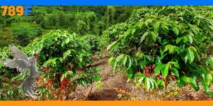 789F Trồng Cây: Hành Trình Bảo Vệ Môi Trường