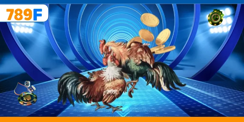 Đá Gà C3 – Quy Tụ Những Chiến Kê Cực Hay, Kèo Cược Đa Dạng 4 Người chơi phân tích gà trước khi đặt cược