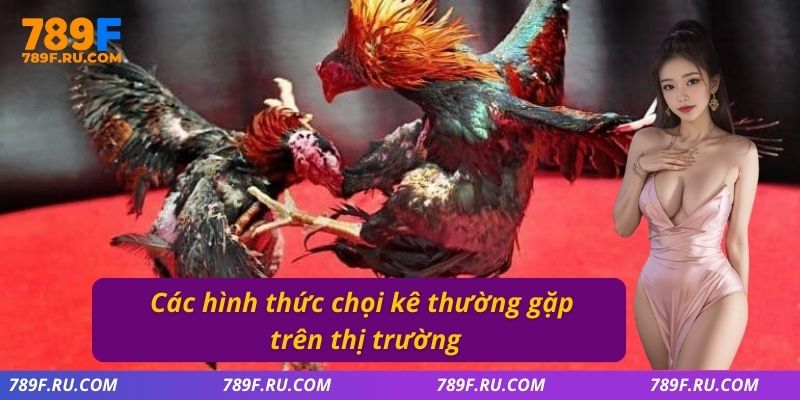 Các hình thức chọi kê thường gặp trên thị trường