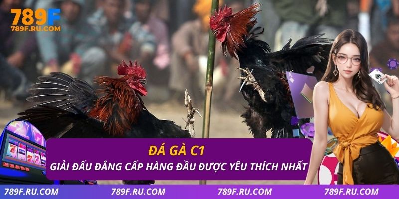 Đá Gà C1 – Trực Tiếp Hấp Dẫn, Tỷ Lệ Kèo Chuẩn 1 Đá gà C1