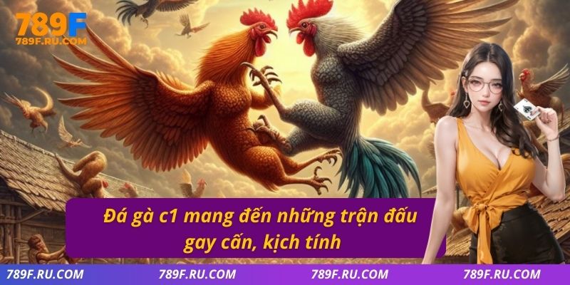 Đá Gà C3 – Quy Tụ Những Chiến Kê Cực Hay, Kèo Cược Đa Dạng 2 Đá gà C1 mang đến những trận đấu gay cấn, kịch tính