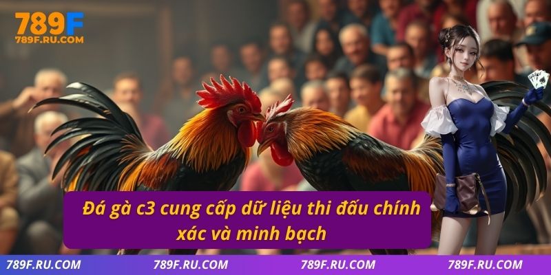 Đá Gà C2 – Trận Đấu Đầy Kịch Tính, Đa Dạng Kèo Cược 2 Đá gà C3 cung cấp dữ liệu thi đấu chính xác và minh bạch