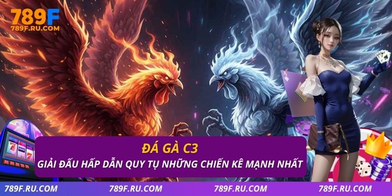 Đá Gà C3 – Quy Tụ Những Chiến Kê Cực Hay, Kèo Cược Đa Dạng