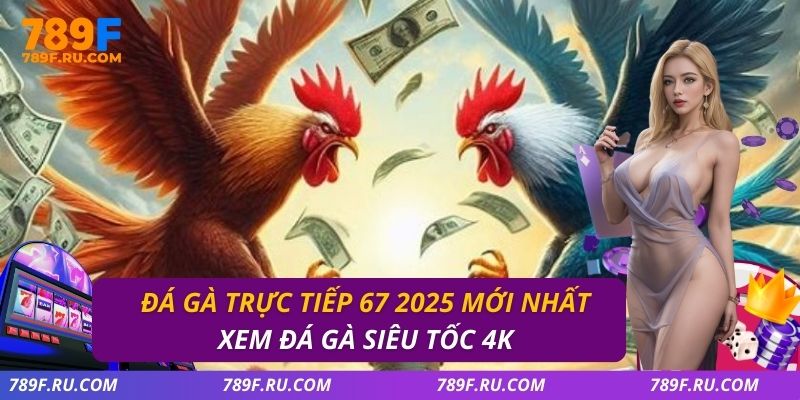 Đá Gà Trực Tiếp 67 – Link Xem Nhanh, Lịch Thi Đấu Mỗi Ngày