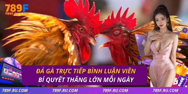 Đá Gà Trực Tiếp Bình Luận Viên – Xem Kịch Tính Mỗi Trận
