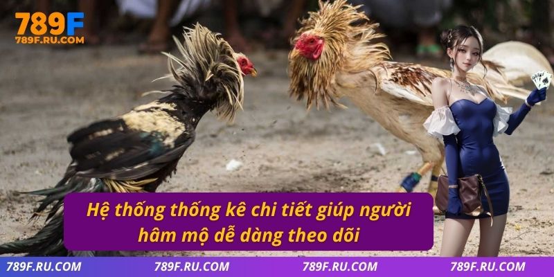 Đá Gà C2 – Trận Đấu Đầy Kịch Tính, Đa Dạng Kèo Cược 4 Hệ thống thống kê chi tiết giúp người hâm mộ dễ dàng theo dõi