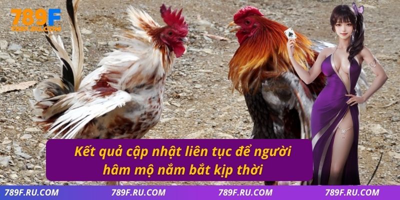 Kết quả cập nhật liên tục để người hâm mộ nắm bắt kịp thời