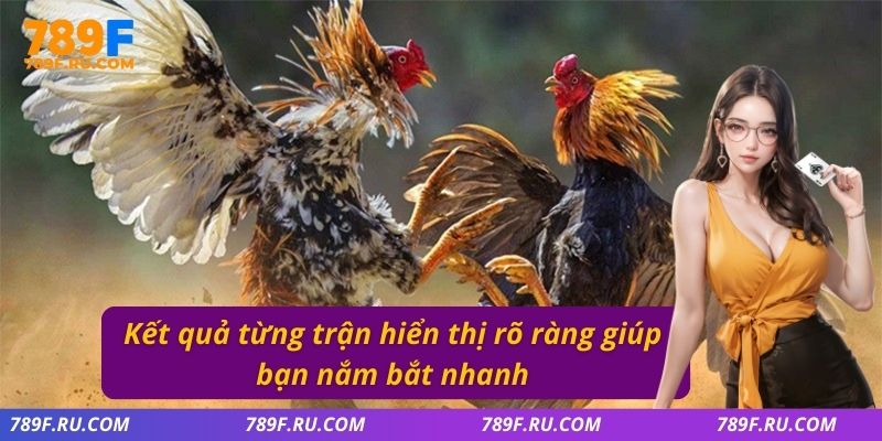 Đá Gà C3 – Quy Tụ Những Chiến Kê Cực Hay, Kèo Cược Đa Dạng 4 Kết quả từng trận hiển thị rõ ràng giúp bạn nắm bắt nhanh