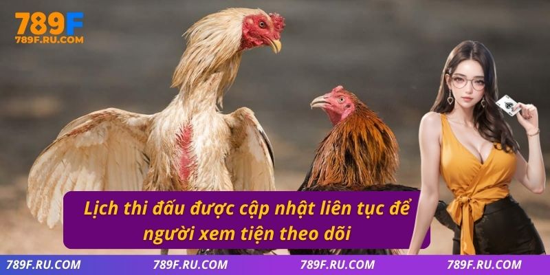 Đá Gà C3 – Quy Tụ Những Chiến Kê Cực Hay, Kèo Cược Đa Dạng 3 Lịch thi đấu được cập nhật liên tục để người xem tiện theo dõi