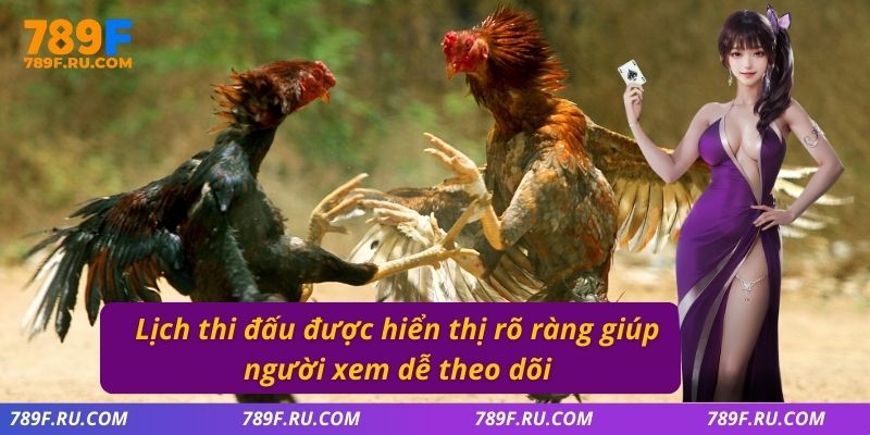 Lịch thi đấu được hiển thị rõ ràng giúp người xem dễ theo dõi