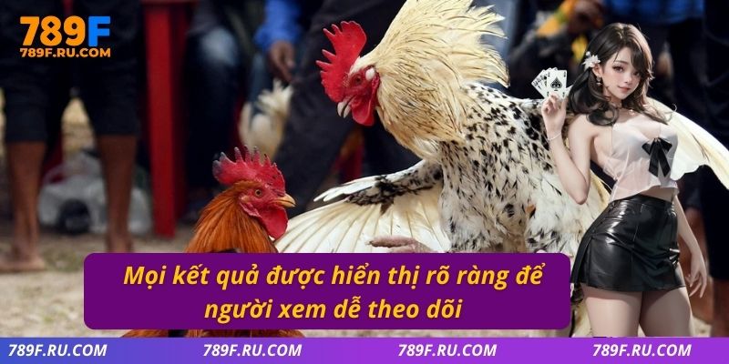 Đá Gà C2 – Trận Đấu Đầy Kịch Tính, Đa Dạng Kèo Cược 3 Mọi kết quả được hiển thị rõ ràng để người xem dễ theo dõi