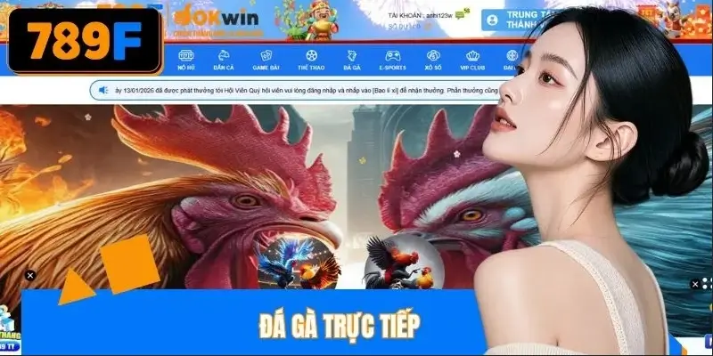 Đá gà đem đến đấu trường Thomo đầy khốc liệt