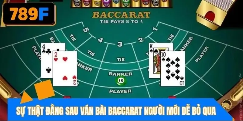 Sự thật đằng sau ván bài baccarat dưới góc nhìn người chơi mới